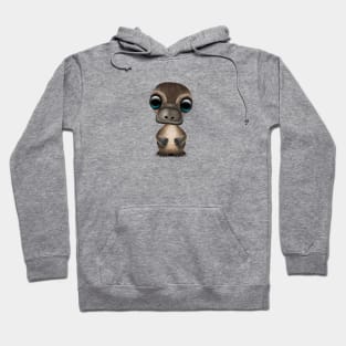 Cute Baby Platypus Hoodie